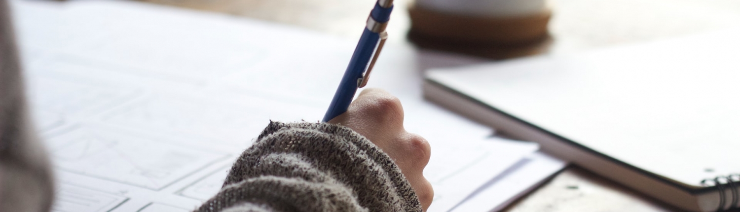 green-chameleon-s9CC2SKySJM-unsplash